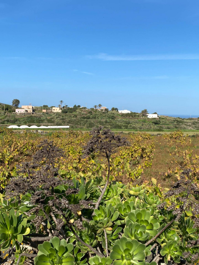 Dammuso in vendita a Pantelleria