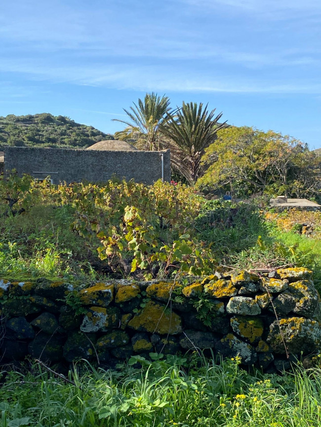 Dammuso in vendita a Pantelleria