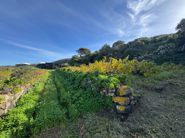 Dammuso in vendita a Pantelleria