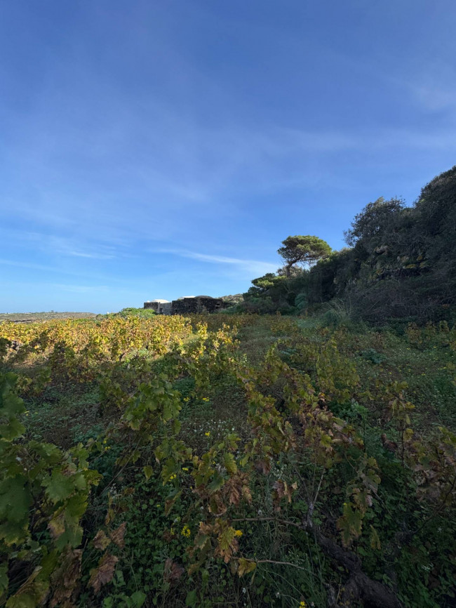 Dammuso in vendita a Pantelleria