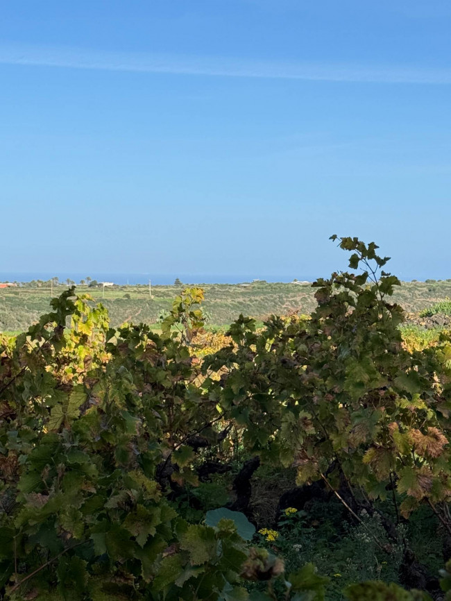 Dammuso in vendita a Pantelleria