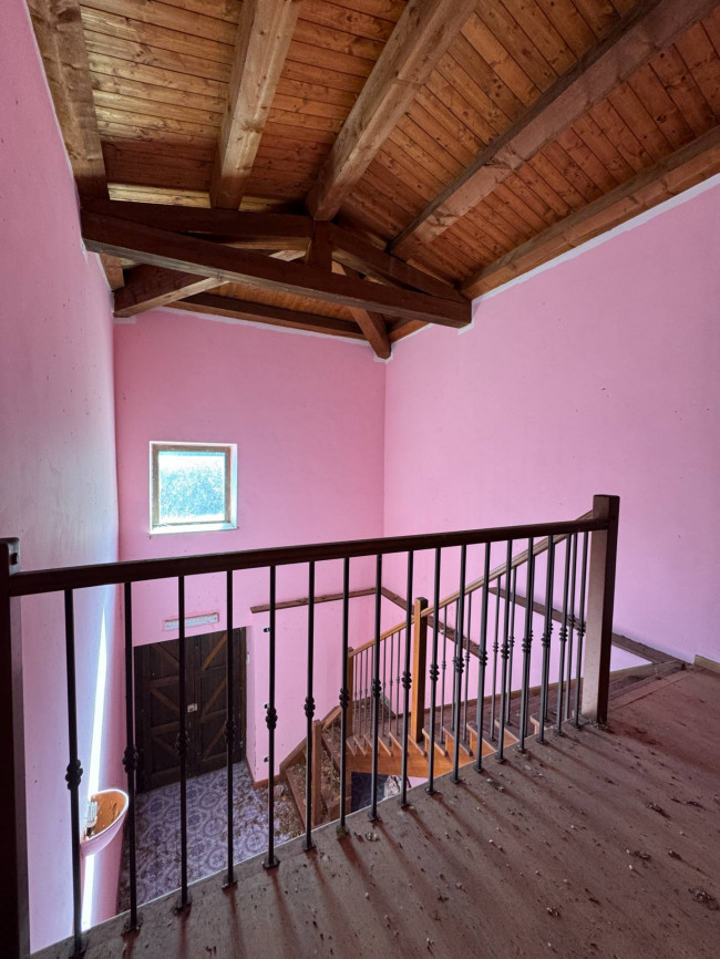 Azienda Agricola in vendita a Sinagra