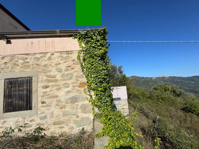 Azienda Agricola in vendita a Sinagra