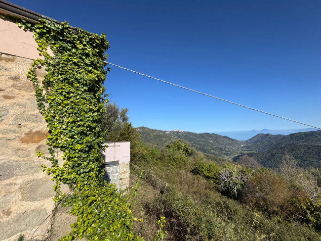 Azienda Agricola in vendita a Sinagra