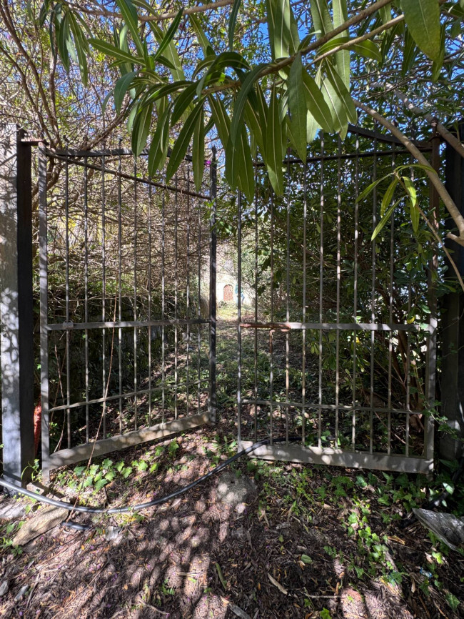 Azienda Agricola in vendita a Sinagra