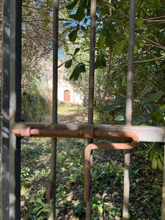 Azienda Agricola in vendita a Sinagra
