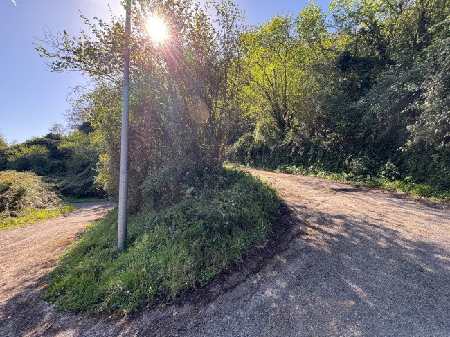 Azienda Agricola in vendita a Sinagra