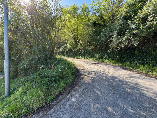 Azienda Agricola in vendita a Sinagra