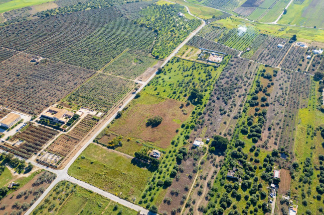 Terreno Edificabile Residenziale in vendita a Castelvetrano