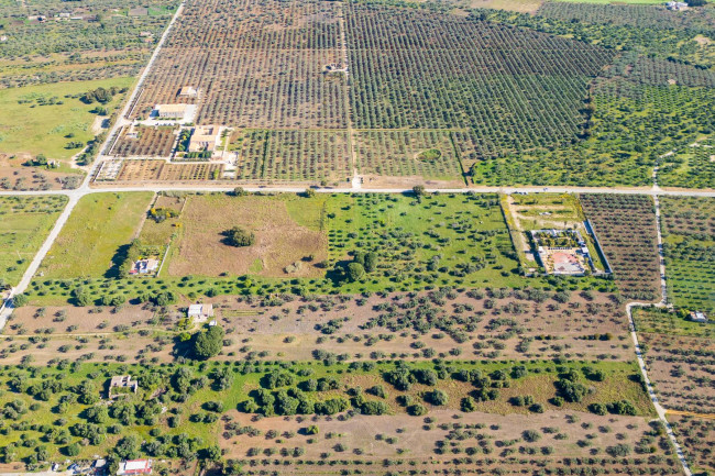 Terreno Edificabile Residenziale in vendita a Castelvetrano