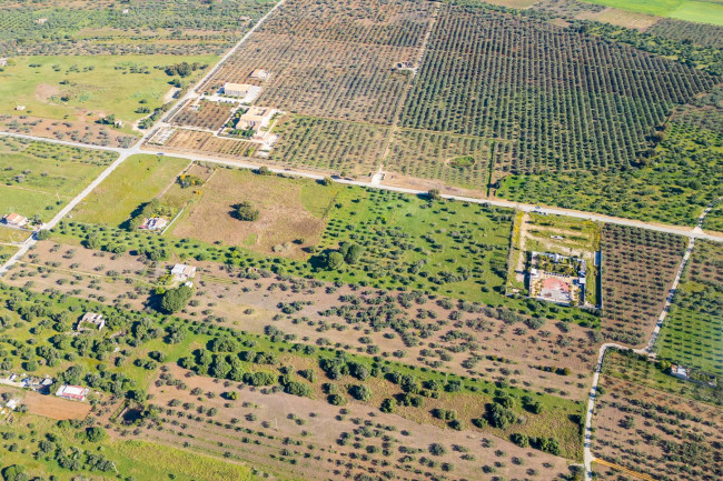 Terreno Edificabile Residenziale in vendita a Castelvetrano