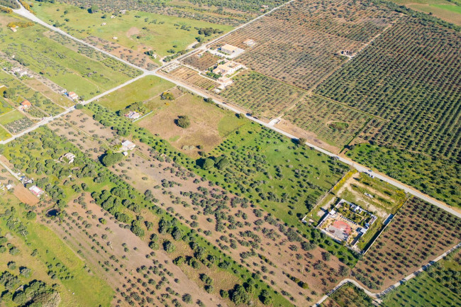 Terreno Edificabile Residenziale in vendita a Castelvetrano