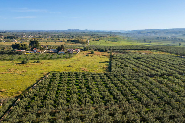 Terreno Edificabile Residenziale in vendita a Castelvetrano