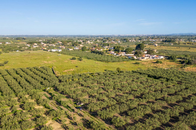 Terreno Edificabile Residenziale in vendita a Castelvetrano
