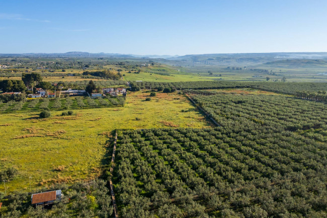 Terreno Edificabile Residenziale in vendita a Castelvetrano