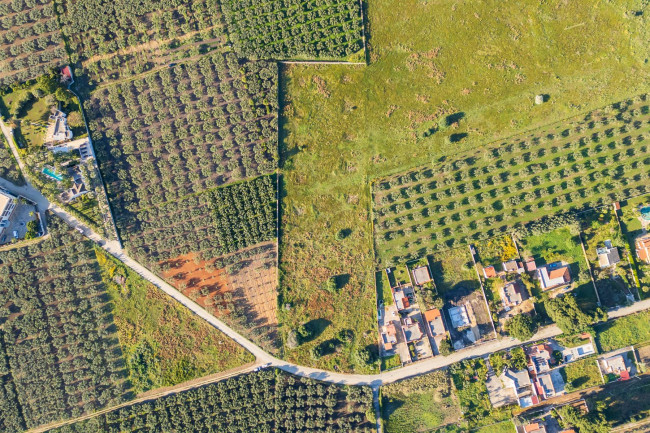 Terreno Edificabile Residenziale in vendita a Castelvetrano