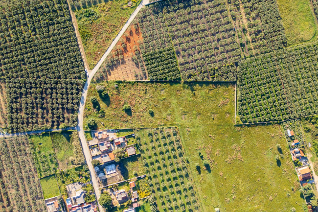 Terreno Edificabile Residenziale in vendita a Castelvetrano