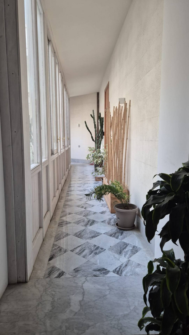 Appartamento in affitto a Palermo