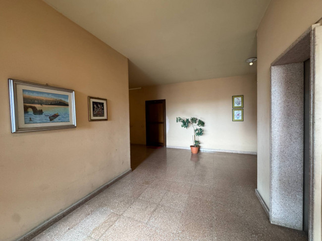 Appartamento in affitto a Palermo