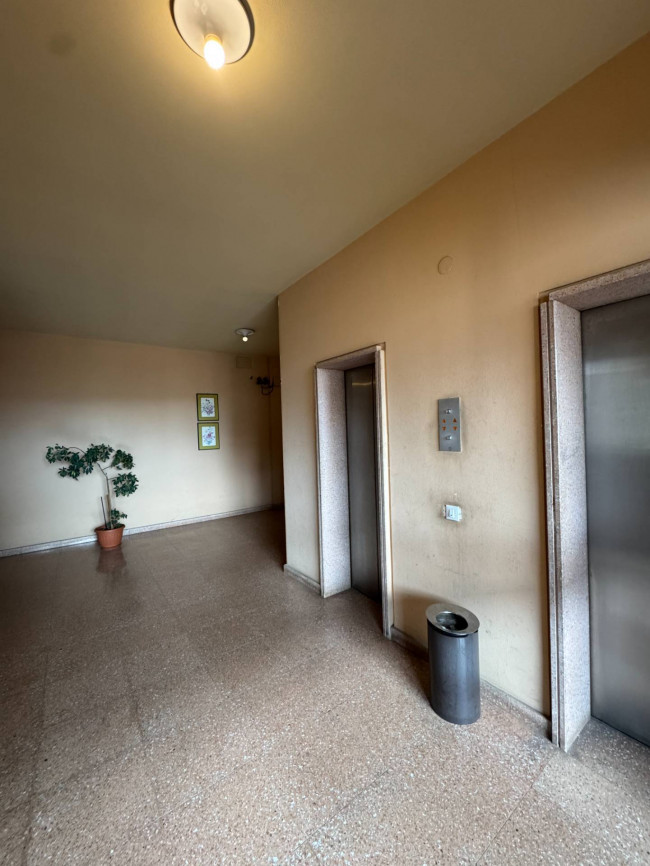 Appartamento in affitto a Palermo
