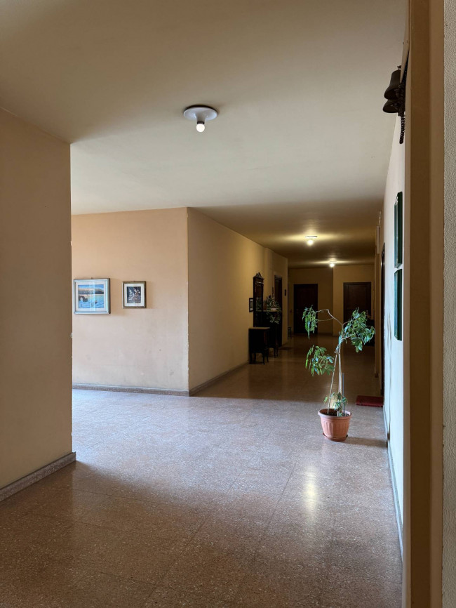 Appartamento in affitto a Palermo