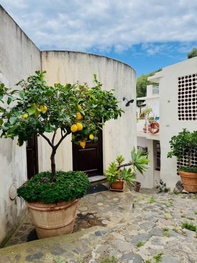 Casa Indipendente in vendita a Leni