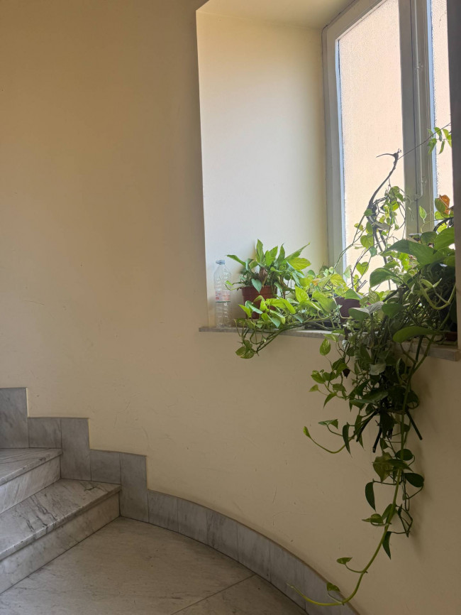 Attico in affitto a Palermo