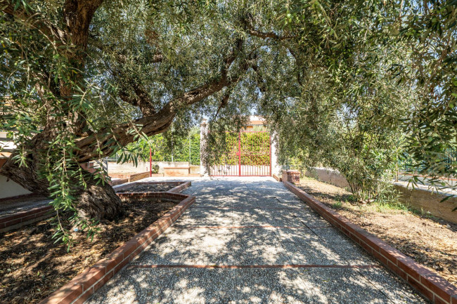 Villa Singola in vendita a Altavilla Milicia