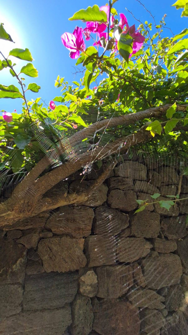 Dammuso in vendita a Pantelleria
