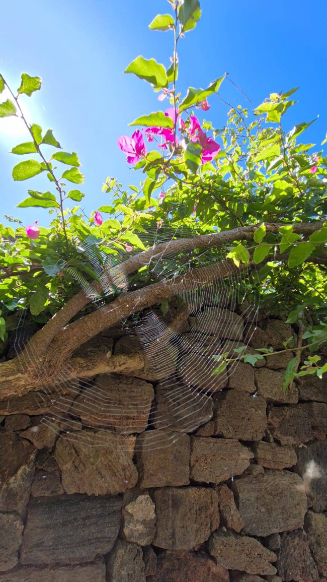 Dammuso in vendita a Pantelleria