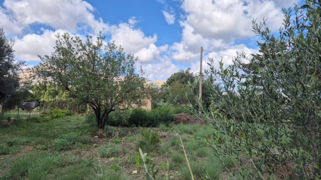 Villa Singola in vendita a Castellammare del Golfo