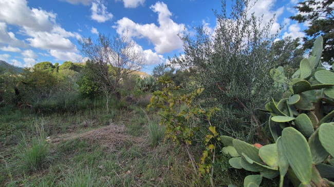 Villa Singola in vendita a Castellammare del Golfo