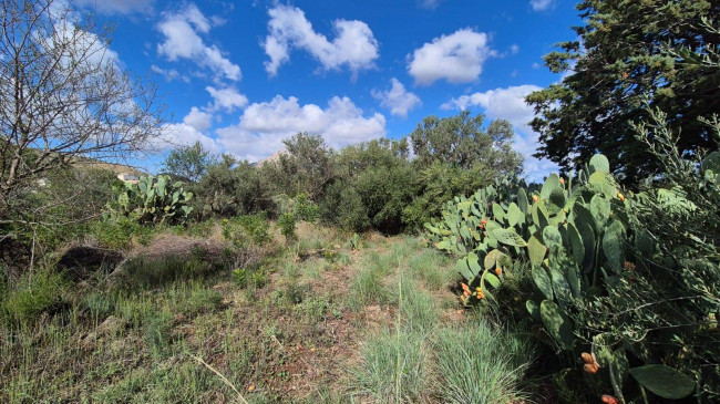 Villa Singola in vendita a Castellammare del Golfo