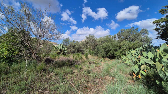 Villa Singola in vendita a Castellammare del Golfo