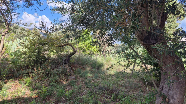 Villa Singola in vendita a Castellammare del Golfo