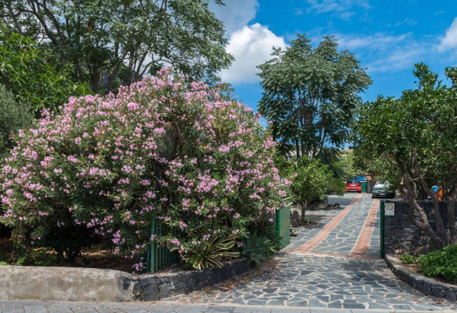 Appartamento in vendita a Leni