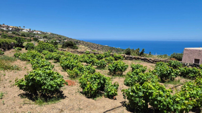 Dammuso in vendita a Pantelleria