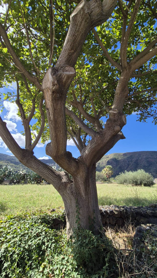 Villa Singola in vendita a Pantelleria