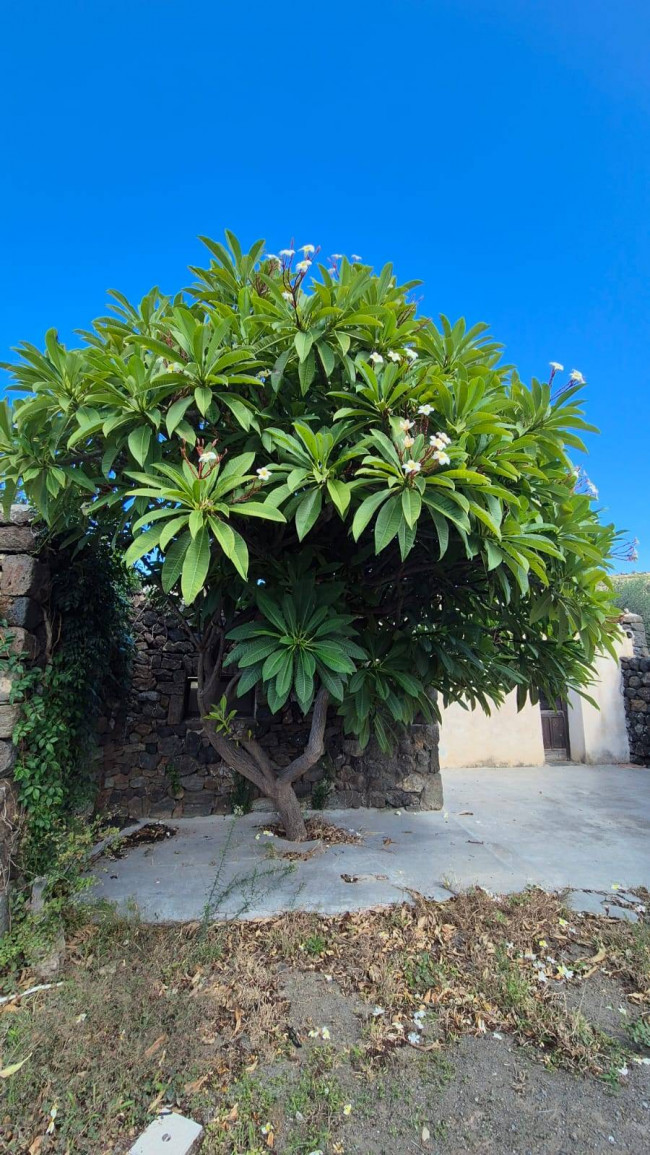 Villa Singola in vendita a Pantelleria