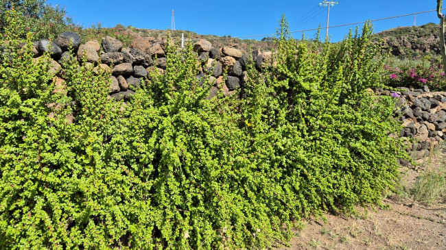 Villa Singola in vendita a Pantelleria