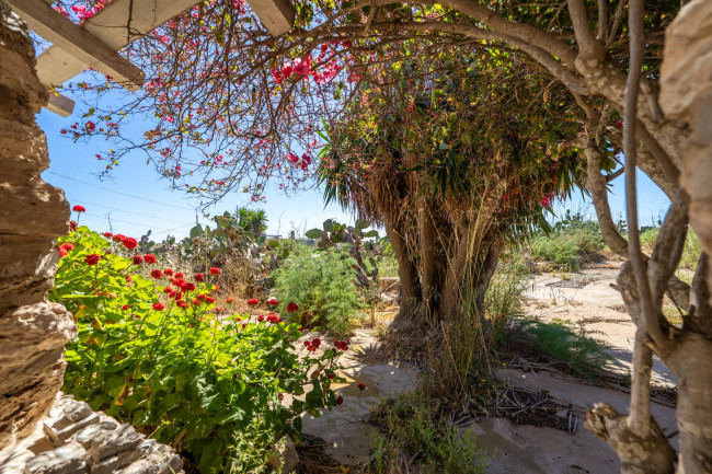 Villa Singola in vendita a Lampedusa e Linosa