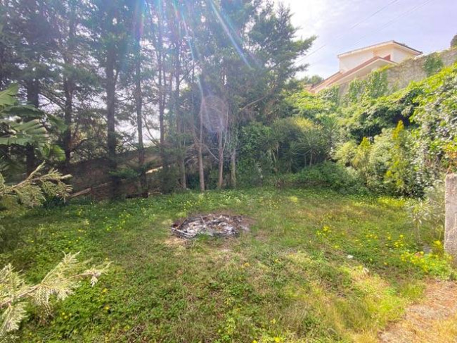 Appartamento in Villa in affitto a Palermo
