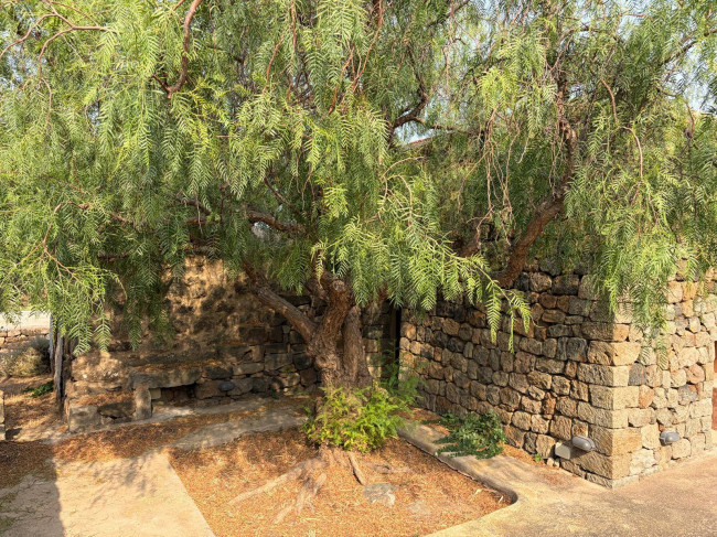 Villa Singola in vendita a Pantelleria