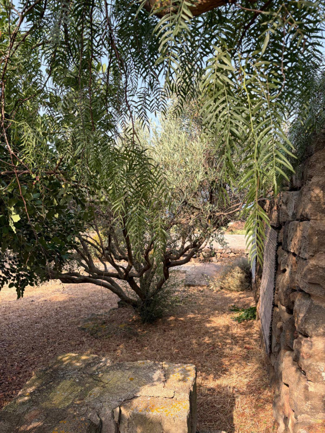Villa Singola in vendita a Pantelleria