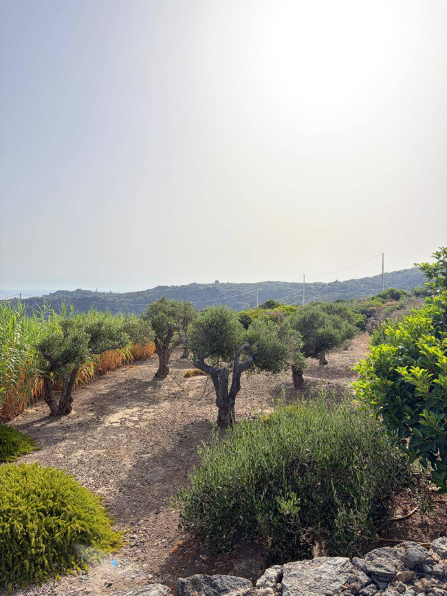 Villa Singola in vendita a Pantelleria