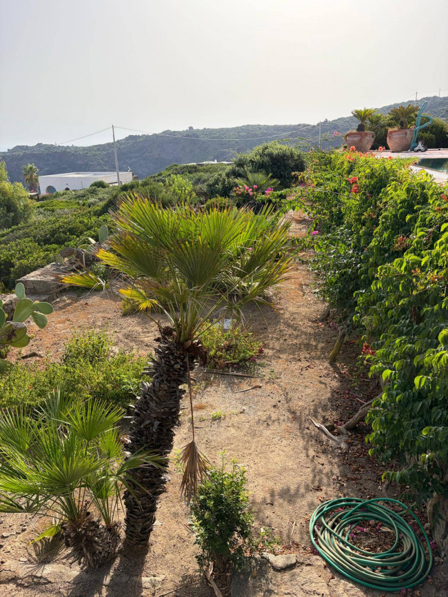 Villa Singola in vendita a Pantelleria