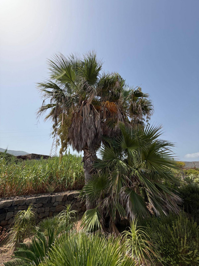 Villa Singola in vendita a Pantelleria