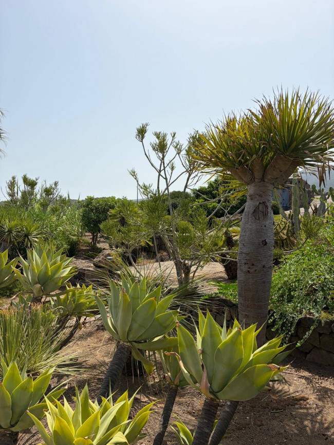 Villa Singola in vendita a Pantelleria