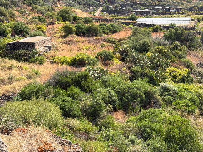 Dammuso in vendita a Pantelleria