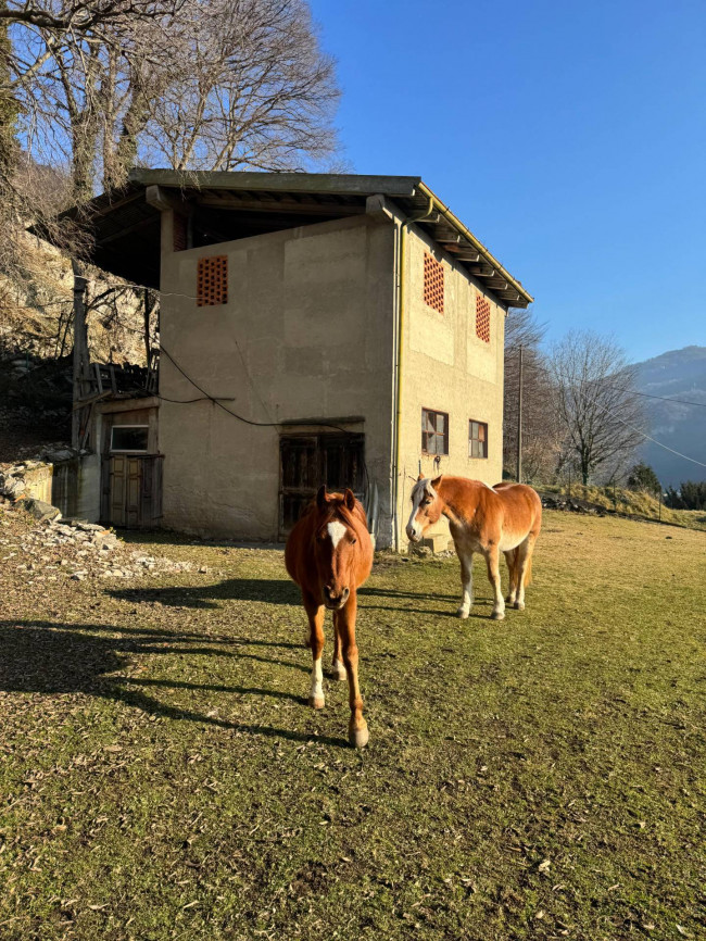 intera proprietà a Valbrona